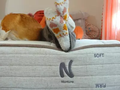 Nolah Nurture Mattress Review - Best Mattress for Teenagers